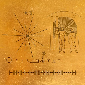 Vegg – Anthrophobie