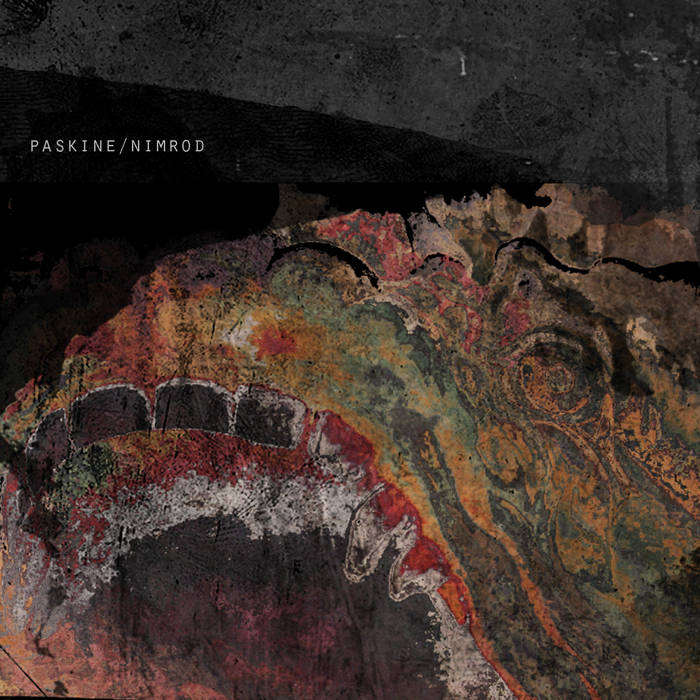 Paskine – Nimrod